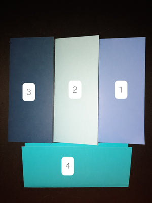 Blue Cash Envelopes